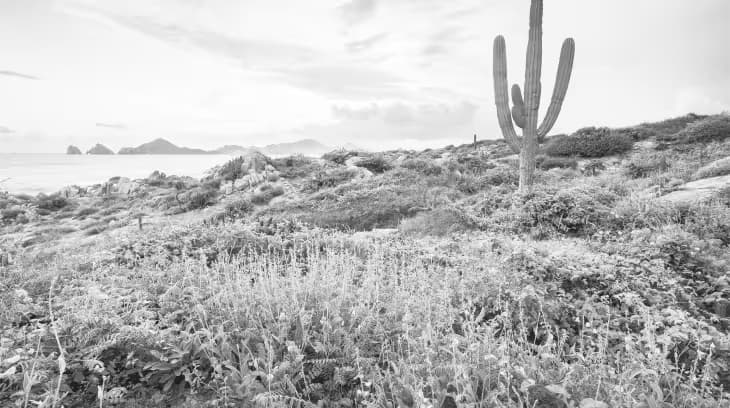 A beautiful landscape shot of Los Cabos Mexico